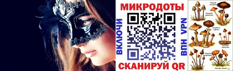 блэк спрут как зайти  Дербент  Псилоцибиновые грибы прущие грибы  где можно купить  