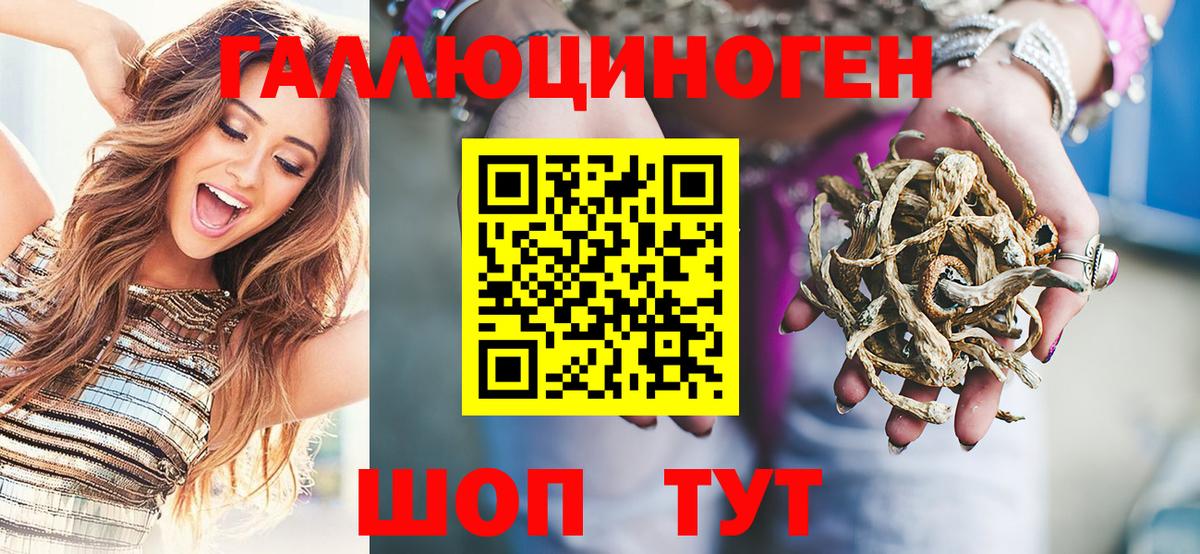 Псилоцибиновые грибы мицелий Дербент